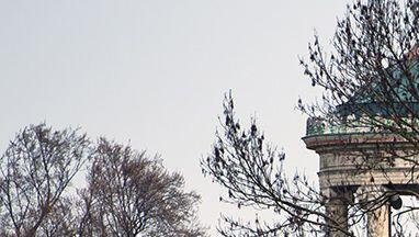 Die Jugendlihen gingen im Englischen Garten aufeinander los. Die Jugendlihen gingen im Englischen Garten aufeinander los.