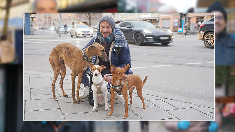 Fitnesstrainer Jo Köllerwirth (44) mit den Hunden v.li. Lander, Bobi, Carlito:  
"Das Leben mit drei Hunden ist manchmal anstrengend. Ich habe drei Rüden, die meistens folgen. 
Ich arbeite in Fitneßstudios und bei Firmen, und ich mache Hausbesuche. 
Mir geht es darum, Gesundheit zu erhalten.
Besonders gerne mache ich DeepWork, ein sehr kraftintensives Ausdauertraining mit lauter Musik. Da sind die
 Bewegungsmuster sehr dynamisch. 
Eigentlich sollte man jeden Tag für eine Stunde etwas für sich tun - das muss nicht Bewegung sein, sondern einfach etwas 
worauf man Lust hat. 
Den besten Cappuccino gibt es in der Kaffeebar Patolli in der Sendlinger Straße. Der schmeckt dort wirklich rund und die Milch 
ist richtig chremig."