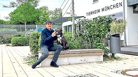 Claus Reichinger, stellvertretender Vorsitzender des Tierschutzvereins, mit Rüde Pablo. Der Listenhund wird kein Zuhause in Bayern finden, wenn sich die Gesetze nicht ändern.