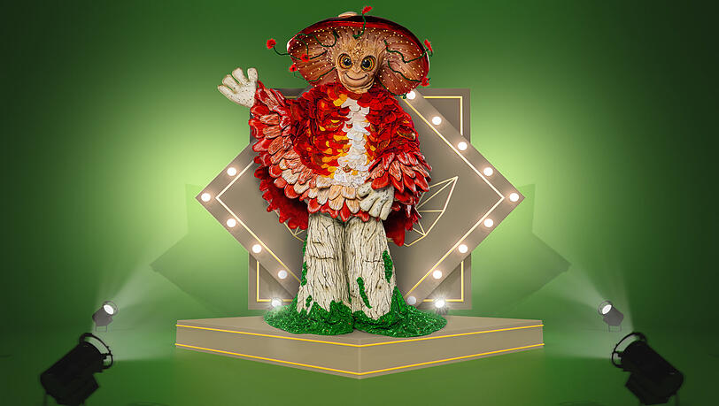 Marianne Rosenberg war der Pilz bei "The Masked Singer" 2023 Marianne Rosenberg war der Pilz bei "The Masked Singer" 2023