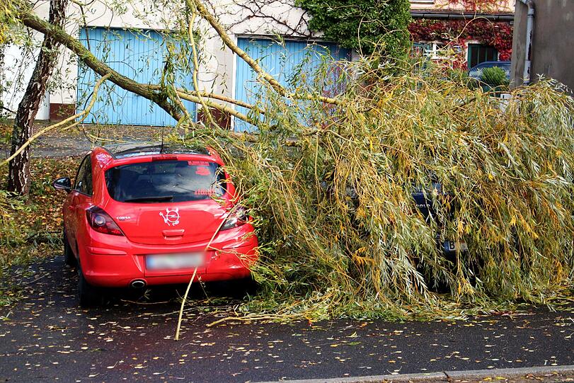 Baum auf Auto in Creußen in Oberfranken.