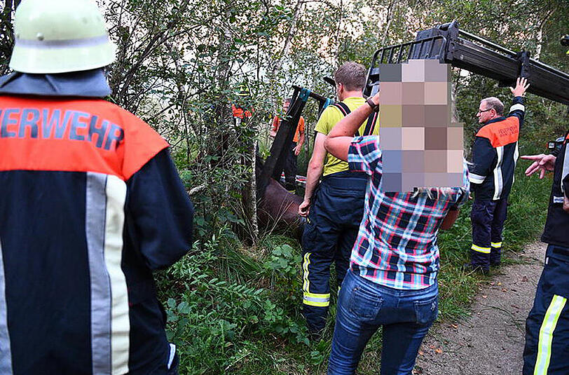 Spektakuläre Rettungsaktion in Grassau: Die Feuerwehr befreite ein Pferd aus dem moorastigem Untergrund.
