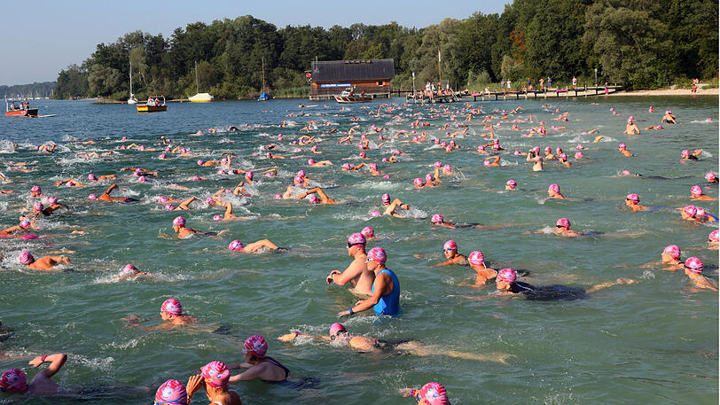 Hunderte Freizeitsportler tauchen ab: Sie traten beim Wettschwimmen im Starnberger See.