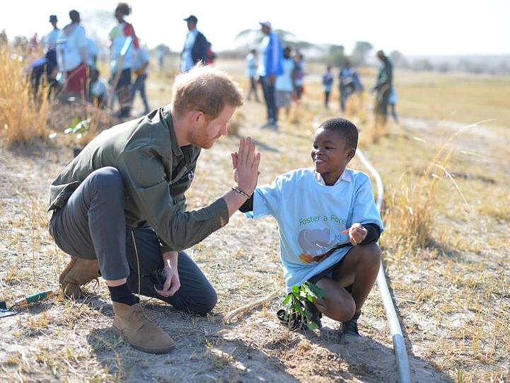 Prinz Harry hilft Schülern, Bäume im Chobe-Nationalpark in Botsuana zu pflanzen.