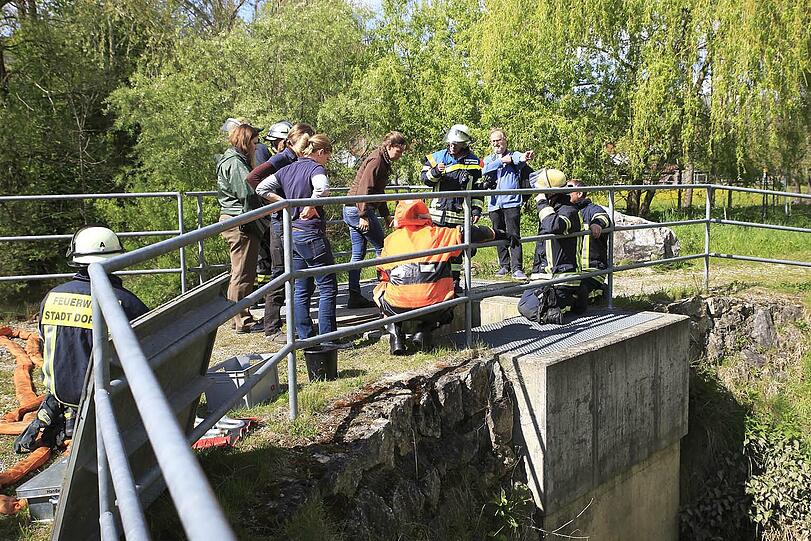 Die Shetland-Stute "Hastika" konnte von den Feuerwehrleuten gerettet werden.