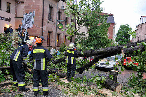 Drei Stunden brauchte die Nürnberger Feuerwehr, um den umgestürzten Baum in der Lindenstraße zu entfernen.