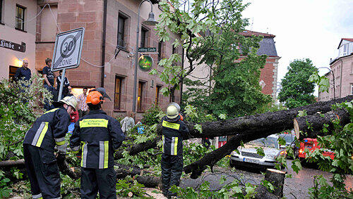 Drei Stunden brauchte die Nürnberger Feuerwehr, um den umgestürzten Baum in der Lindenstraße zu entfernen. Drei Stunden brauchte die Nürnberger Feuerwehr, um den umgestürzten Baum in der Lindenstraße zu entfernen.