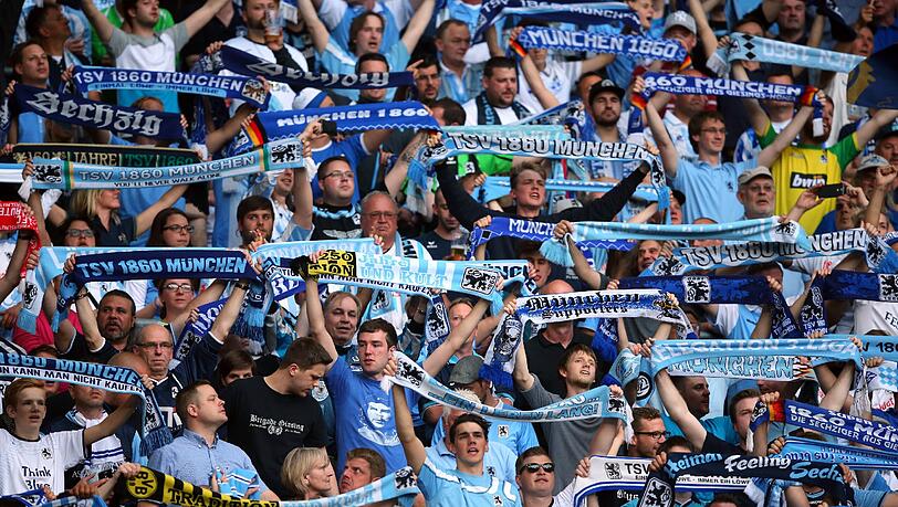 Am Sonntag erwarten die Löwen 50 000 Fans. Am Sonntag erwarten die Löwen 50 000 Fans.