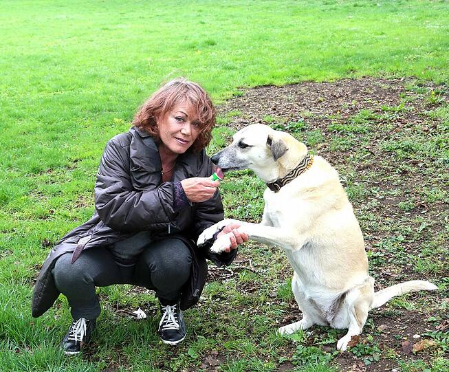 Gundy Grand und ihre &bdquo;Wuffel&ldquo;, ein Kangal-Mischling. Den Hund hat sie vor fünf Jahren nach München gebracht, sie sind oft im Englischen Garten unterwegs.