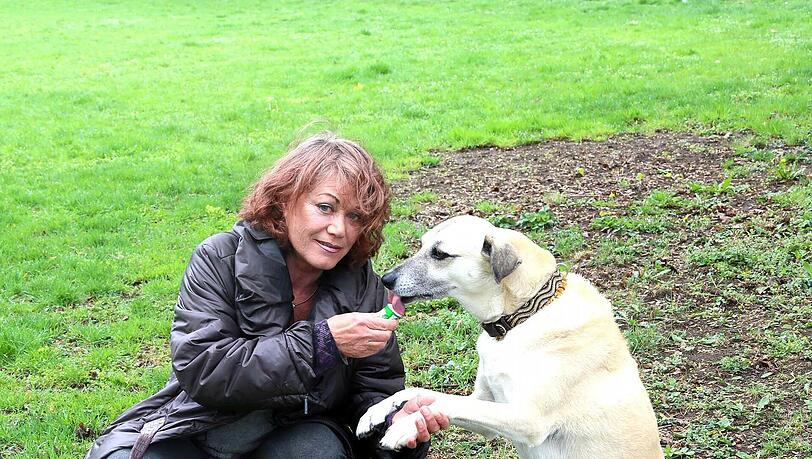 Gundy Grand und ihre „Wuffel“, ein Kangal-Mischling. Den Hund hat sie vor fünf Jahren nach München gebracht, sie sind oft im Englischen Garten unterwegs. Gundy Grand und ihre „Wuffel“, ein Kangal-Mischling. Den Hund hat sie vor fünf Jahren nach München gebracht, sie sind oft im Englischen Garten unterwegs.