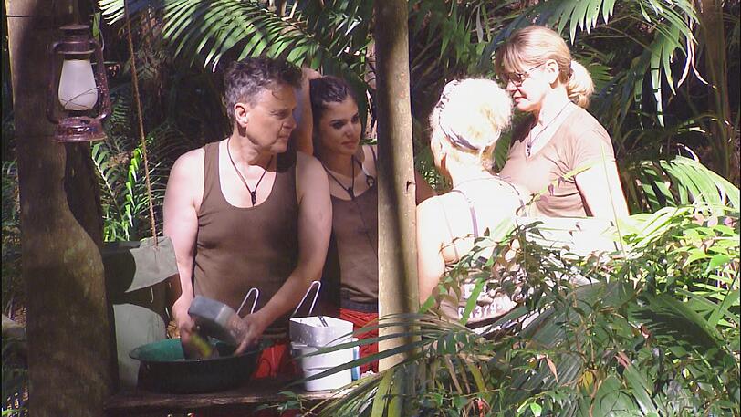 Rolfe Scheider, Tanja Tischewitsch, Patricia Blanco und Maren Gilzer erledigen gemeinsam den Abwasch. Ihre Nebenbeschäftigung dabei: Ablästern über Walter.
