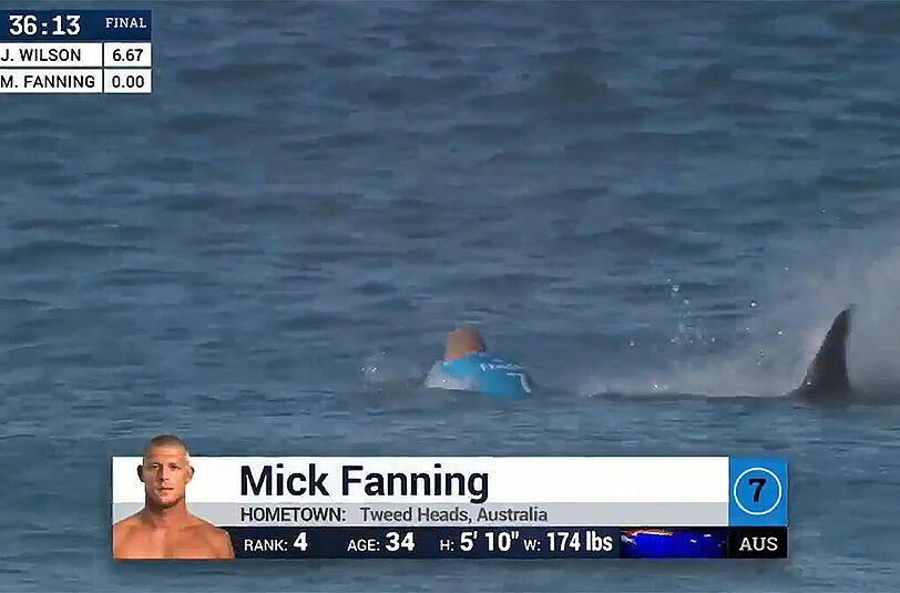 Der Hai pirschte sich von hinten an Fanning heran und schnellte dann aus dem Wasser.