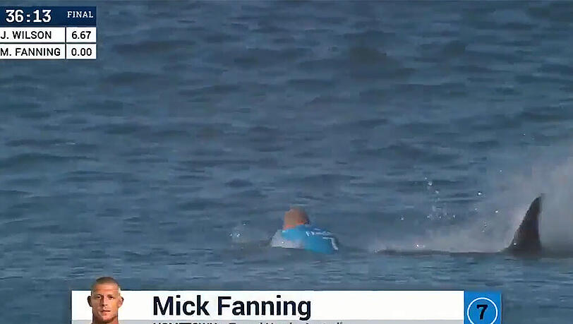 Der Hai pirschte sich von hinten an Fanning heran und schnellte dann aus dem Wasser. Der Hai pirschte sich von hinten an Fanning heran und schnellte dann aus dem Wasser.