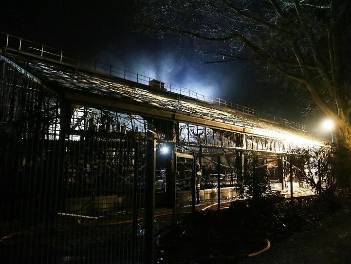 Das Affenhaus des Krefelder Zoos nach dem Brand in der Silvesternacht.