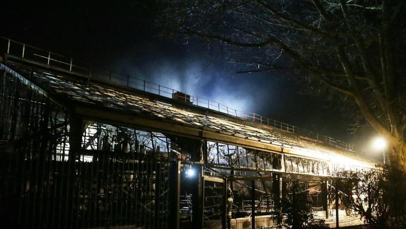 Das Affenhaus des Krefelder Zoos nach dem Brand in der Silvesternacht. Das Affenhaus des Krefelder Zoos nach dem Brand in der Silvesternacht.