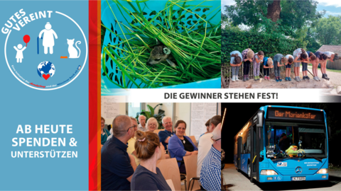 Das letzte Wort hatten Sie. In einem Online-Voting wurde entschieden, für welche Projekte wir Spenden sammeln sollen.