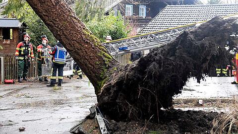 In Icking, südlich von München, musste sich die Feuerwehr um einen entwurzelten Baum kümmern.
