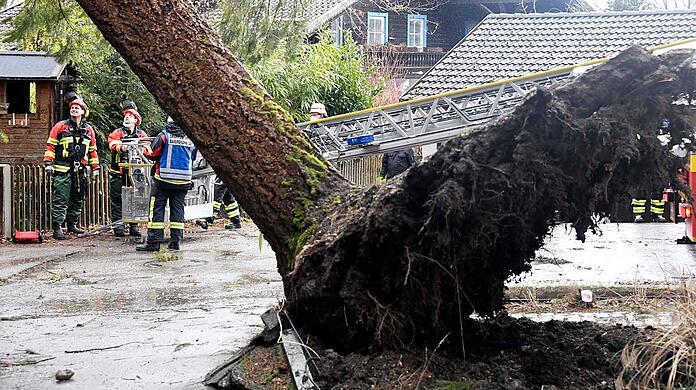 In Icking, südlich von München, musste sich die Feuerwehr um einen entwurzelten Baum kümmern.