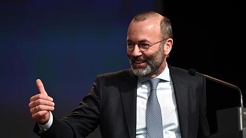 Manfred Weber