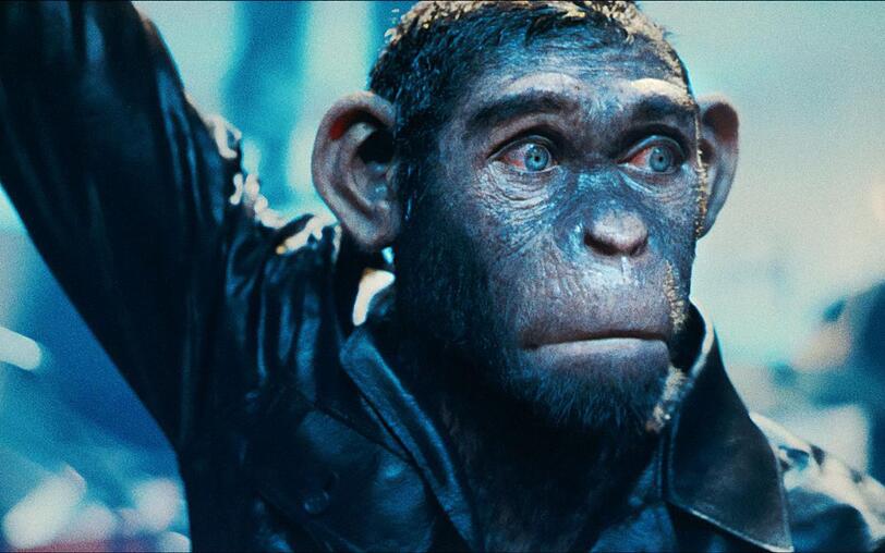 Robbie Williams fühlte sich früher nach eigener Aussage oft wie ein Affe, der für die Massen tanzt. So entstand auch das Konzept für das Biopic "Better Man". Robbie Williams fühlte sich früher nach eigener Aussage oft wie ein Affe, der für die Massen tanzt. So entstand auch das Konzept für das Biopic "Better Man".