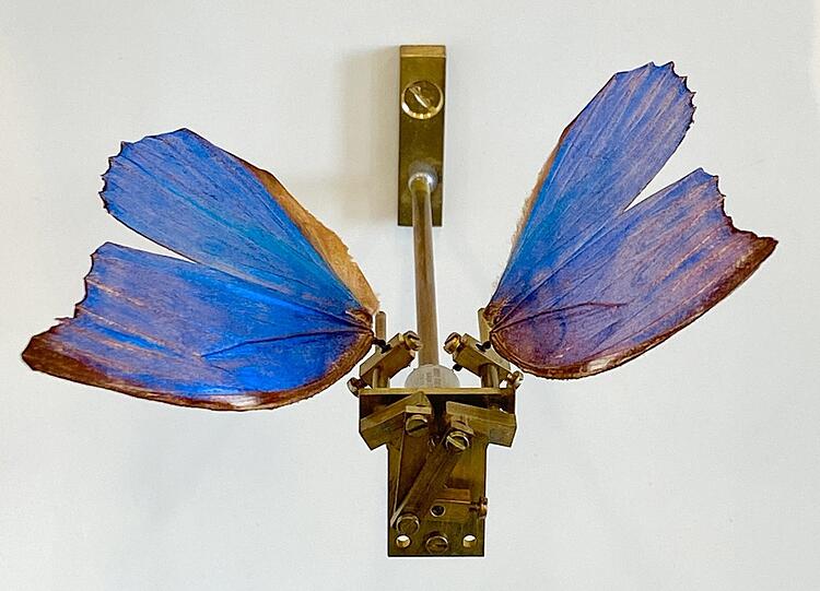Rebecca Horns hinreißender "Schmetterling" aus dem Jahr 1990. Ein Elektromotor sorgt für die taktgenauen Flügelschläge.