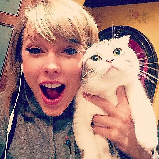 &bdquo;Meredith hat eine Allergie gegen Freude&ldquo;, postet Pop-Prinzessin Taylor Swift zum Selfie mit ihrer Katze. 2,4 Millionen Menschen gefällt&rsquo;s.