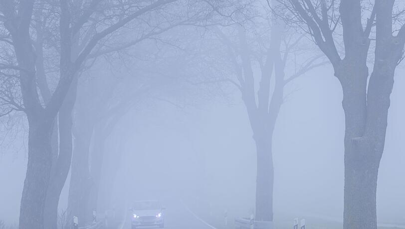 Dichter Nebel sorgte dafür, dass ein Schulbusfahrer die Abzweigung verpasste. (Symbolbild)