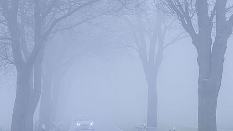 Dichter Nebel sorgte dafür, dass ein Schulbusfahrer die Abzweigung verpasste. (Symbolbild)