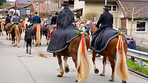 Auch hinten herausgeputzt - die Pferde beim Georgiritt.