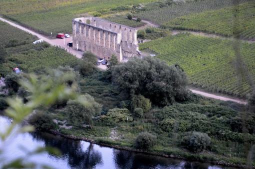 Die Kloster-Ruine Stuben liegt auf der gegenüberliegenden Moselseite.