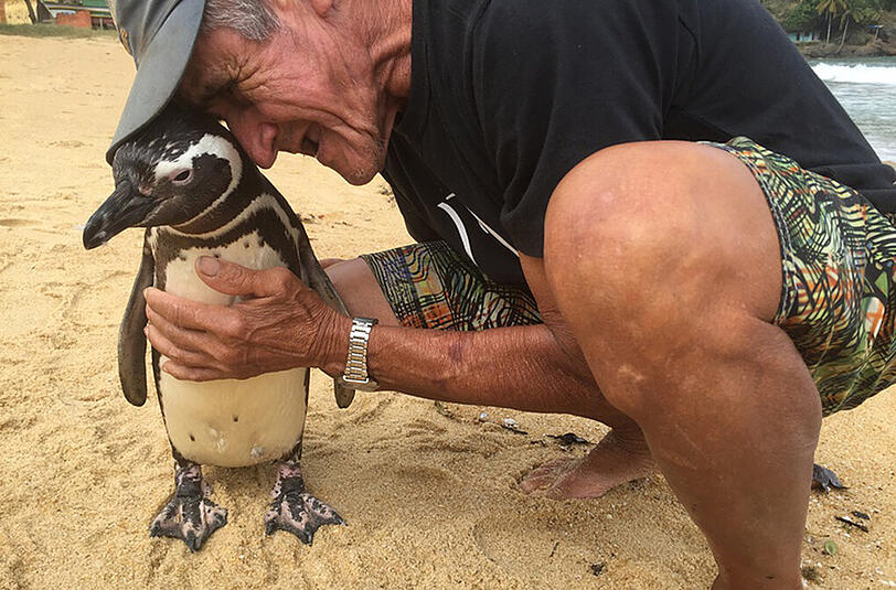 Joao Pereira de Souza und sein Pinguin Dindim