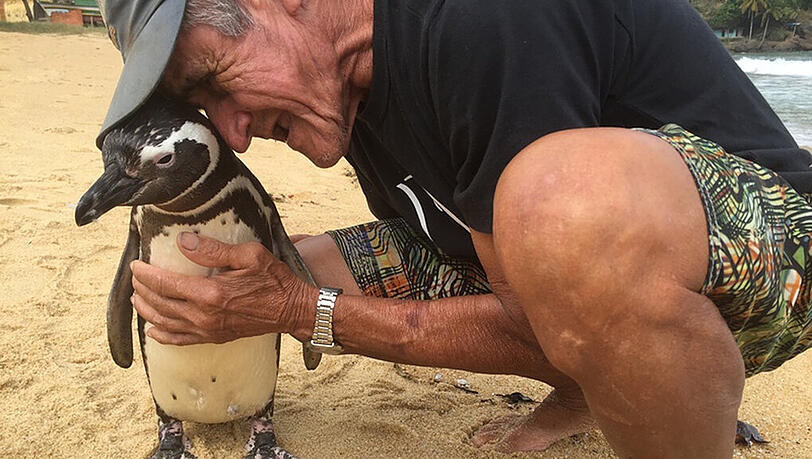 Joao Pereira de Souza und sein Pinguin Dindim Joao Pereira de Souza und sein Pinguin Dindim