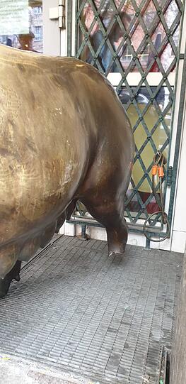 Wollten die Diebe die 100 Kilo schwere Sau wegschleppen?