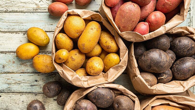 In Deutschland gibt es 395 Speisekartoffelsorten. In Deutschland gibt es 395 Speisekartoffelsorten.