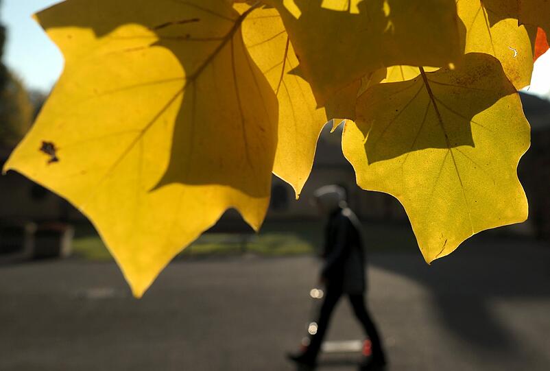 Nutzen Sie die vielleicht letzten milden Herbsttage und spazieren Sie durch die Münchner Viertel
