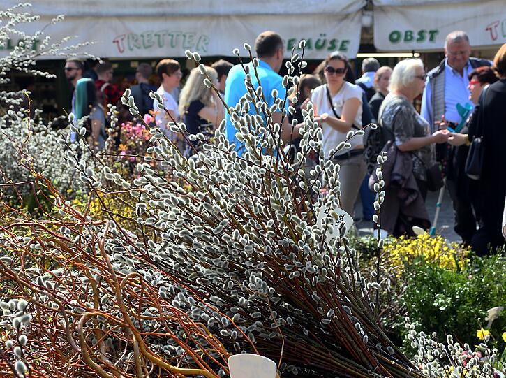 Zweigerl am Viktualienmarkt: Jetzt schon am Palmsonntag denken!