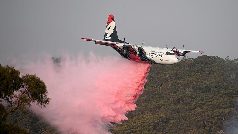 Täglich überfliegen Löschflugzeuge die Wälder.