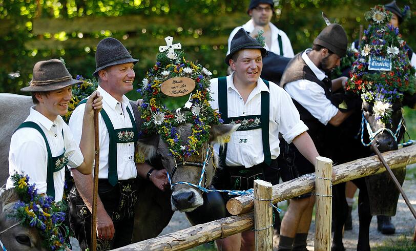 Mit brauchtümlichen Trachten treiben die Bauern ihre prachtvoll geschmückten Kühe ins Tal. Die Bilder vom Almabtrieb!