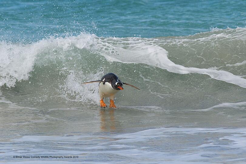 "Surfing&hellip;.South Atlantic Style!"