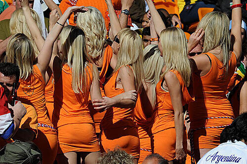 WM in Südafrika: Sexy Fans am Kap