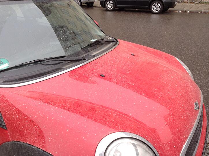 Sahara-Regen in München und im Umland im Februar 2014.