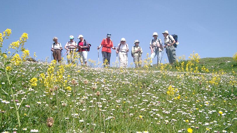 Wieso alleine wandern, wenn&rsquo;s in der Gruppe lustiger ist &ndash; wie mit dem Verein "Zusammen aktiv bleiben". Auch der braucht noch Helfer.