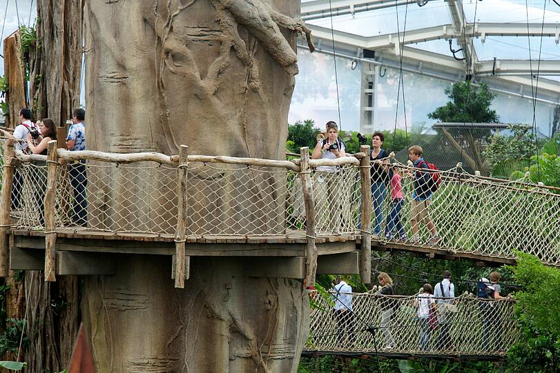 Blick in die Riesentropenhalle Gondwanaland. Leipzig hat mit der nach dem Urkontinent Gondwana benannten Halle den tropischen Urwald mitten in der Stadt. Das Gondwanaland bevölkern 300 Tiere aus 40 Arten und 17.000 tropische Pflanzen.