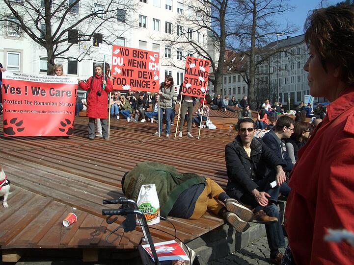 Um die 150 Tierfreunde waren am Rindermarkt, um mit Plakaten, Flyern, Bannern und Gesprächen über die Streunerproblematik und die grausamen Tötungen der Hunde in Rumänien aufzuklären.