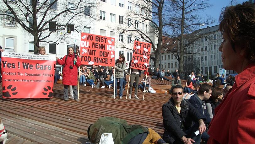 Um die 150 Tierfreunde waren am Rindermarkt, um mit Plakaten, Flyern, Bannern und Gesprächen über die Streunerproblematik und die grausamen Tötungen der Hunde in Rumänien aufzuklären. Um die 150 Tierfreunde waren am Rindermarkt, um mit Plakaten, Flyern, Bannern und Gesprächen über die Streunerproblematik und die grausamen Tötungen der Hunde in Rumänien aufzuklären.