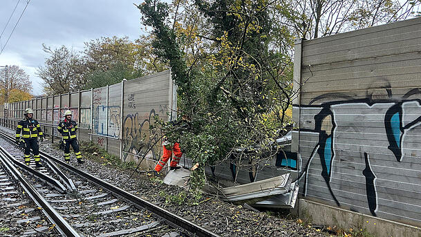 Warum der Baum auf die Strecke stürzte, blieb zunächst offen. Warum der Baum auf die Strecke stürzte, blieb zunächst offen.