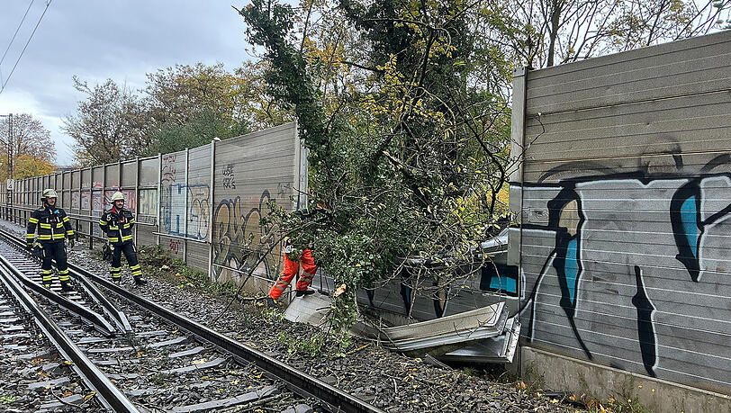 Warum der Baum auf die Strecke stürzte, blieb zunächst offen. Warum der Baum auf die Strecke stürzte, blieb zunächst offen.