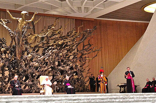 Schneider beim Papst - Die Bilder