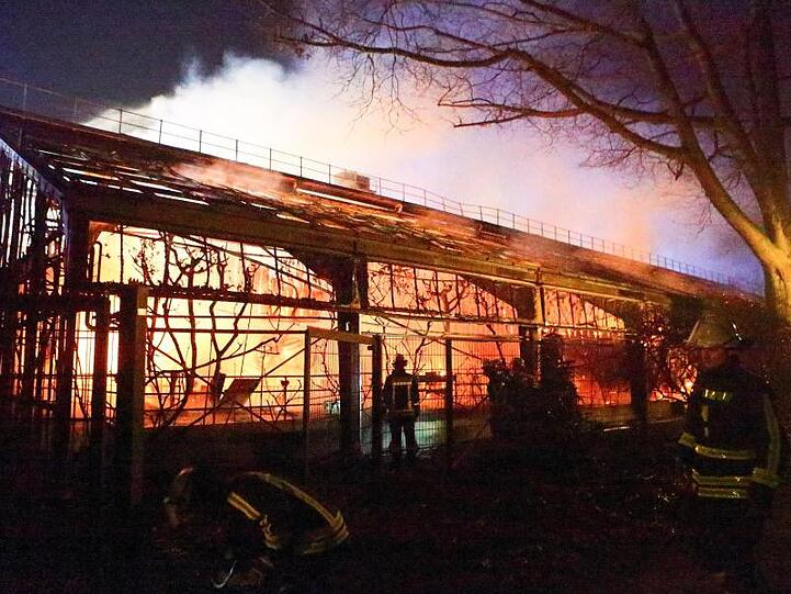 Feuerwehrleute stehen nach Löscharbeiten in der Nacht zu Neujahr vor dem Affenhaus im Krefelder Zoo.