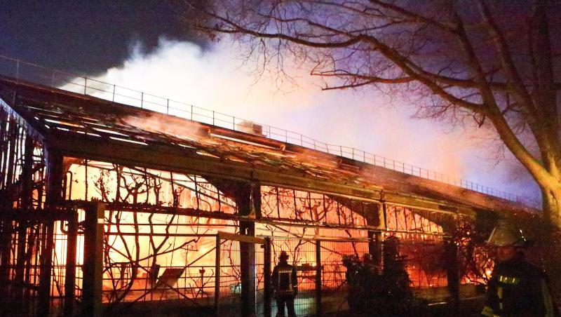 Feuerwehrleute stehen nach Löscharbeiten in der Nacht zu Neujahr vor dem Affenhaus im Krefelder Zoo. Feuerwehrleute stehen nach Löscharbeiten in der Nacht zu Neujahr vor dem Affenhaus im Krefelder Zoo.